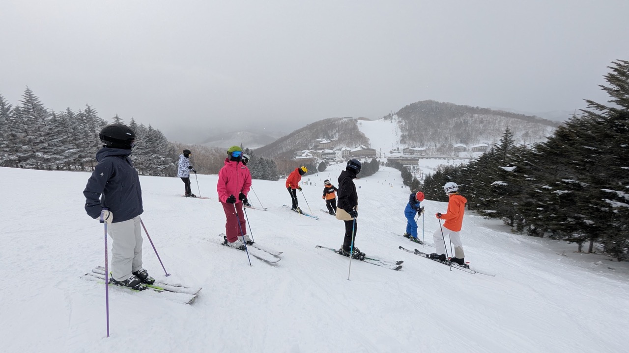 96d84ea8-7c24-4545-b6a0-a354fd879f3d Large