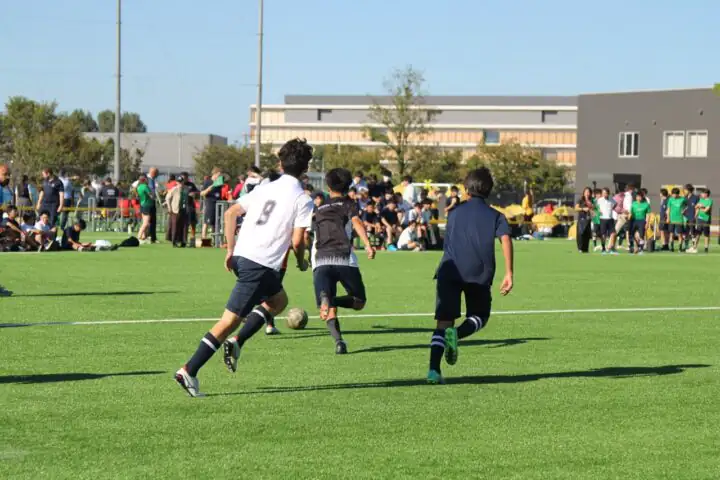A Week of Competition and House Spirit